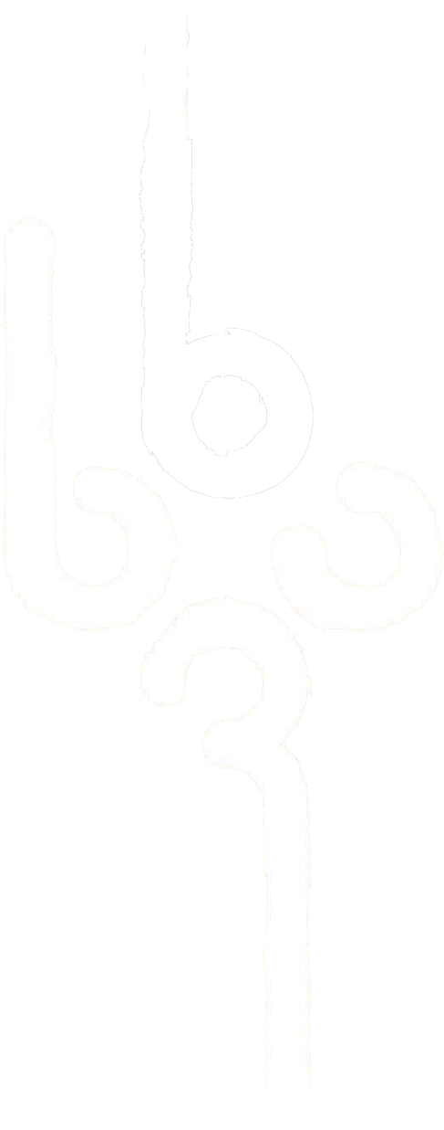 სხვა